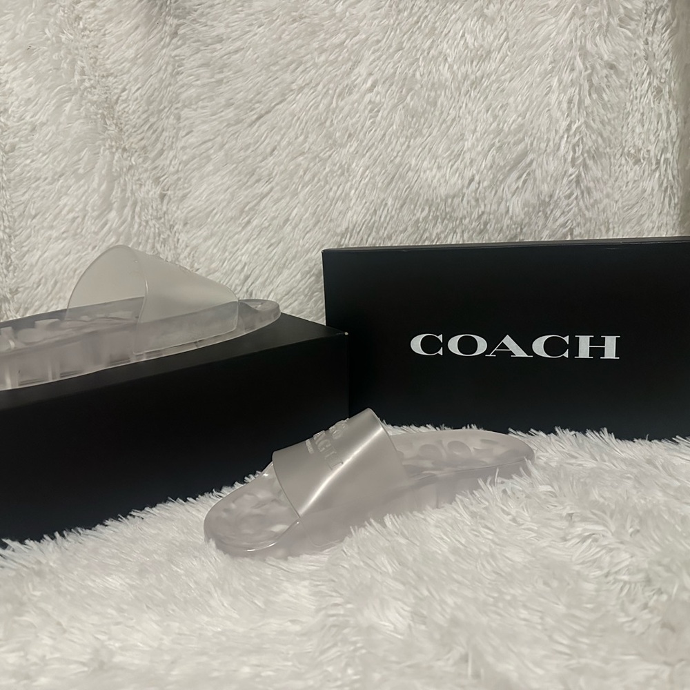 Coach Transparent Slides